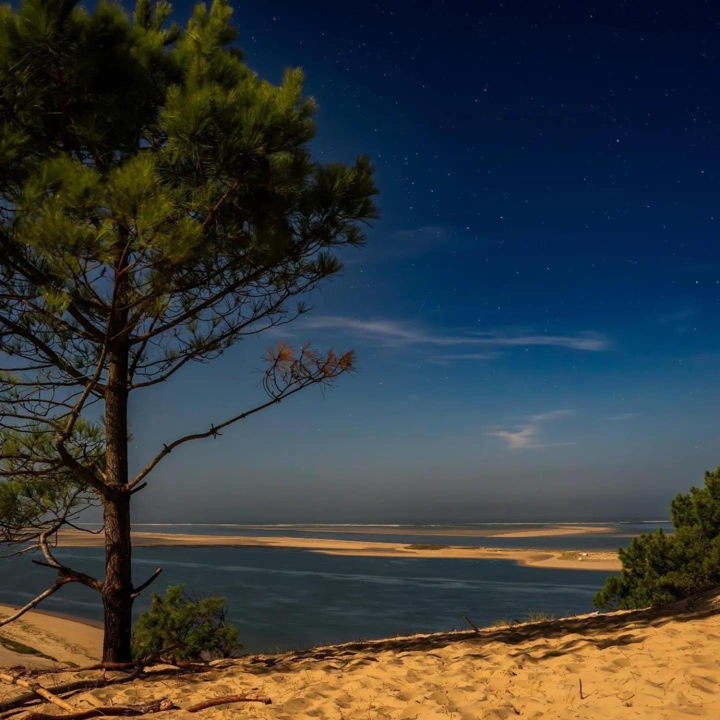 Cocon Entre Presqu'Ile Du Cap Ferret Et Plages Oceanes - Terrasse - 1 Velo Gratuit อาเรส ภายนอก รูปภาพ