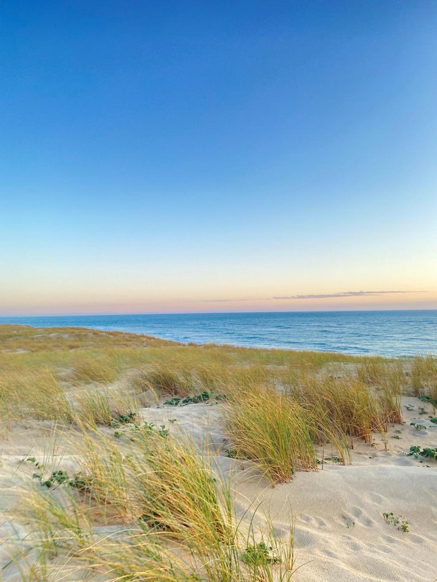 Cocon Entre Presqu'Ile Du Cap Ferret Et Plages Oceanes - Terrasse - 1 Velo Gratuit อาเรส ภายนอก รูปภาพ
